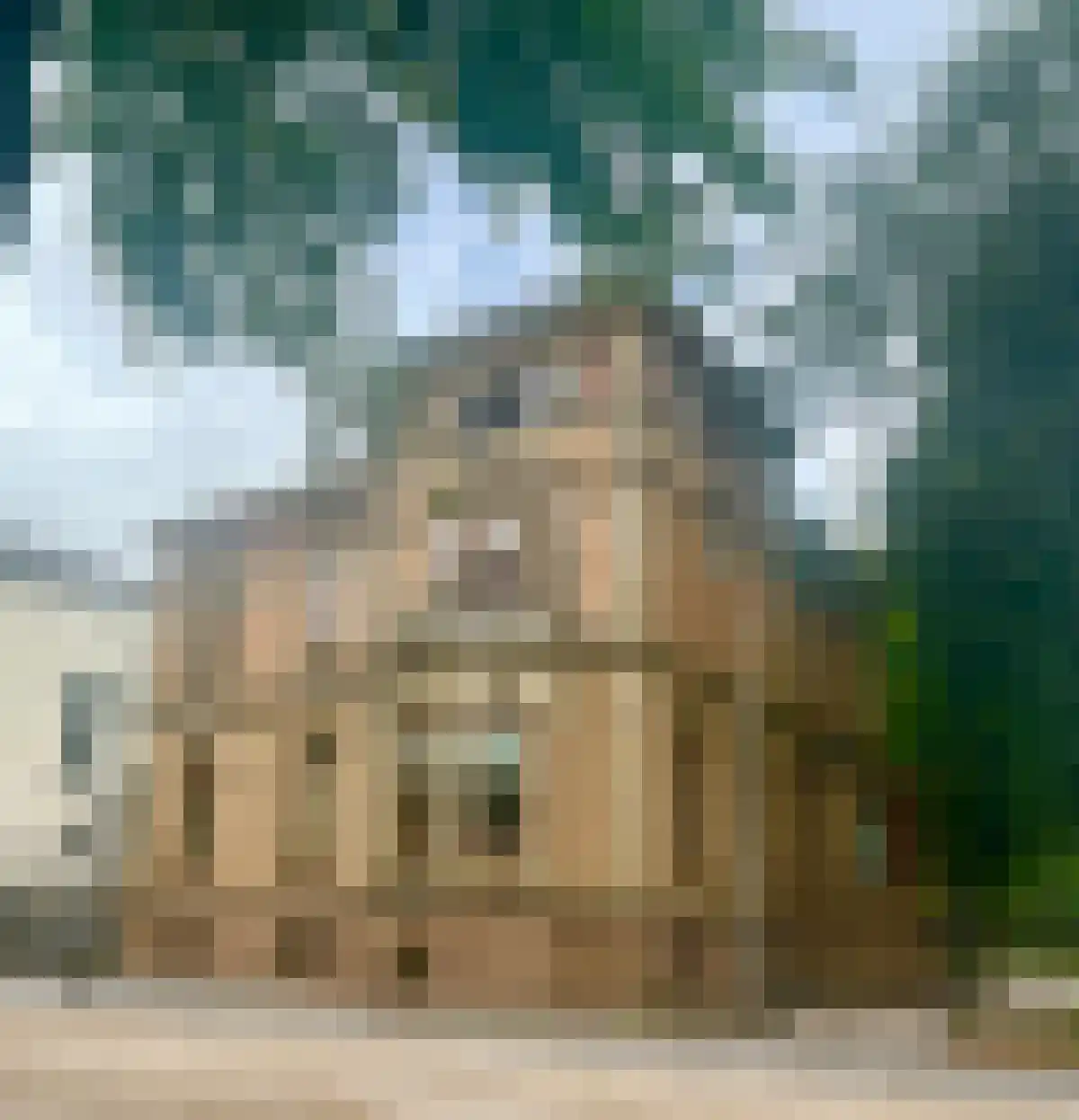 Huurwoningen Utrecht 131 Uden thumbnail 17