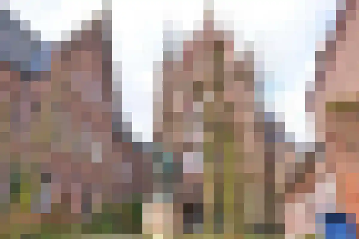 Huurwoningen Utrecht 14 Utrecht thumbnail 26