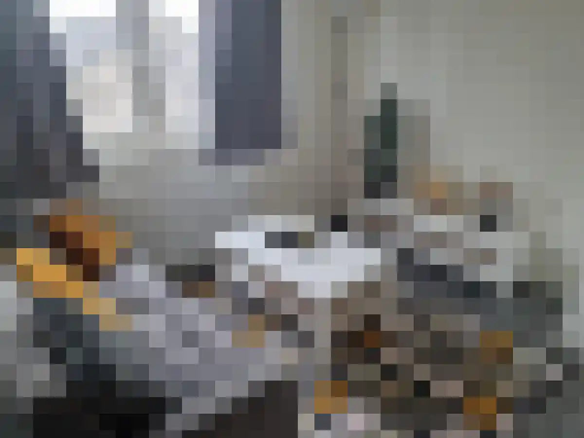 Huurwoningen Utrecht 14 Utrecht thumbnail 6