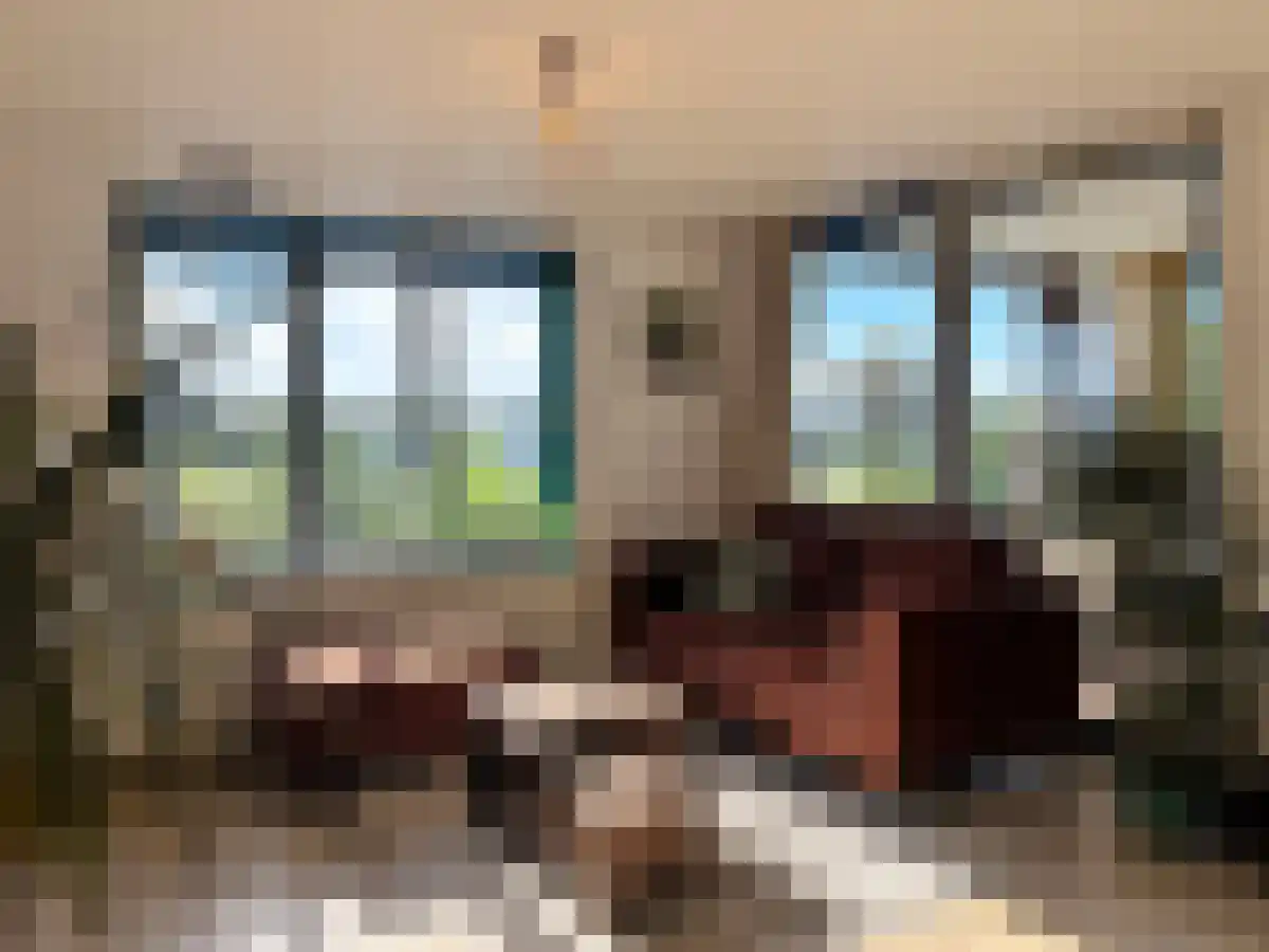 Huurwoningen Utrecht 18 Uden thumbnail 5