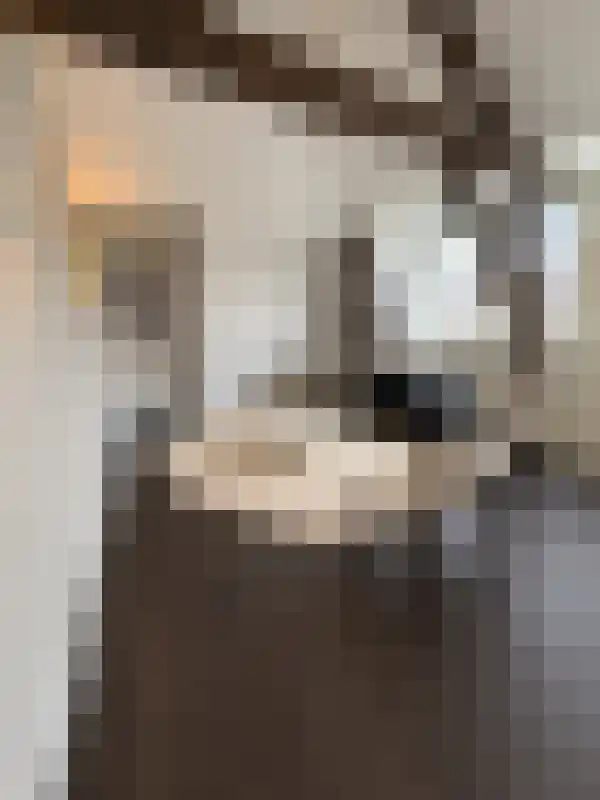 Huurwoningen Utrecht 23 B Uden thumbnail 38
