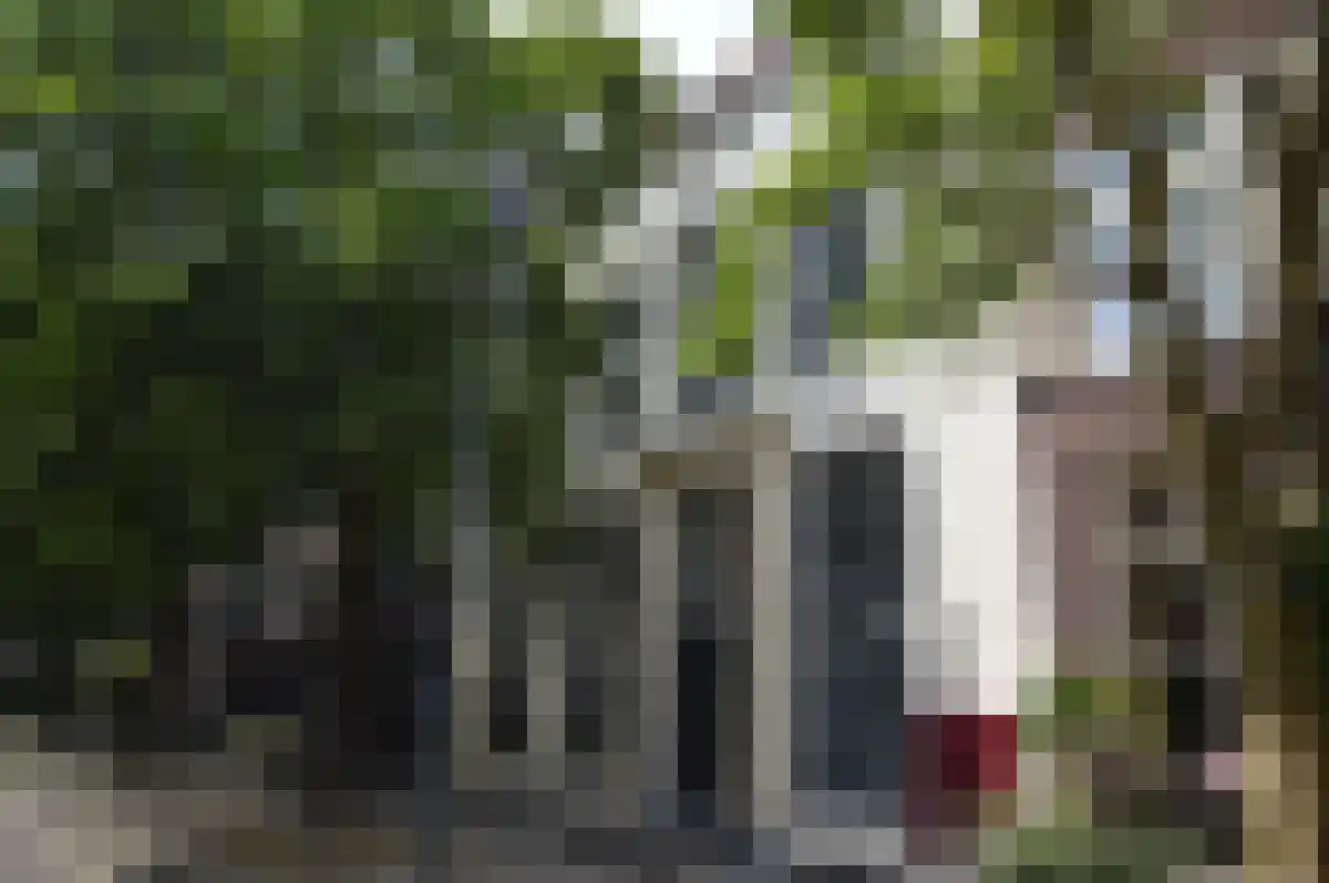Huurwoningen Zwolle 111 A Uden thumbnail 8