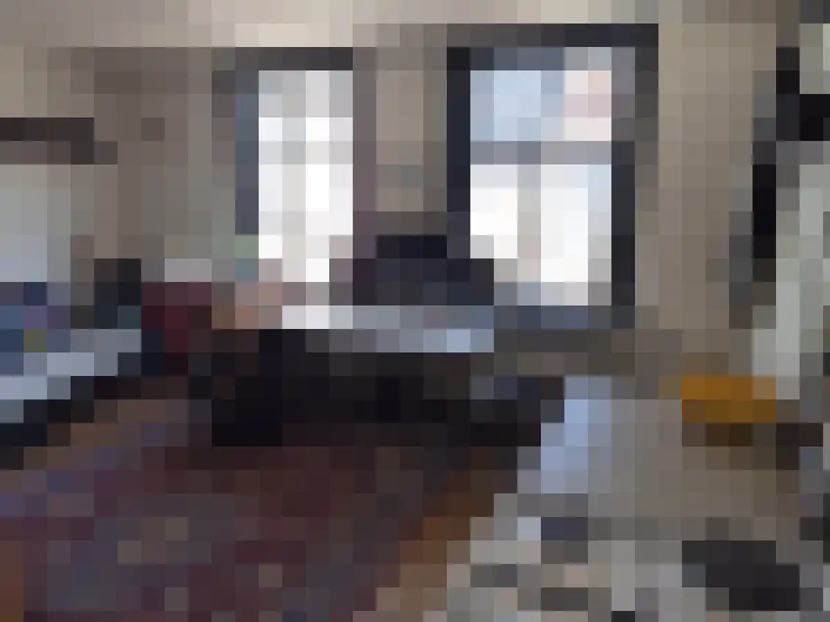 Huurwoningen Zwolle 111 A Zwolle thumbnail 23