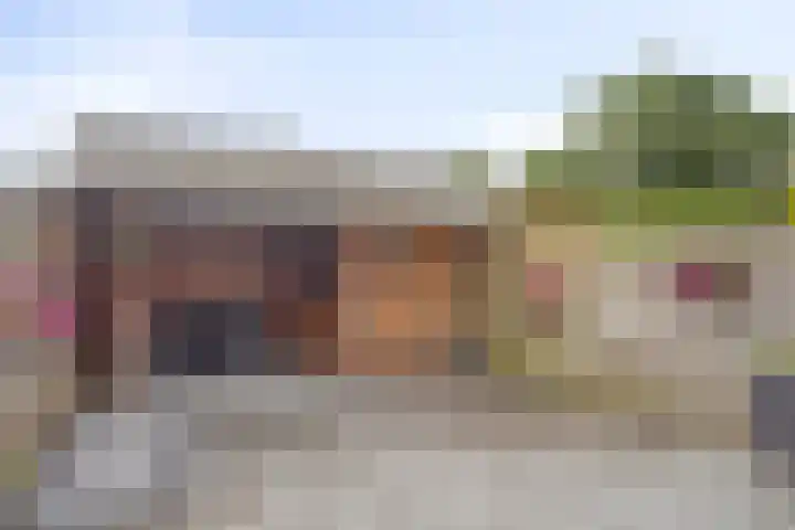 Huusakker 31 Zelhem thumbnail 25