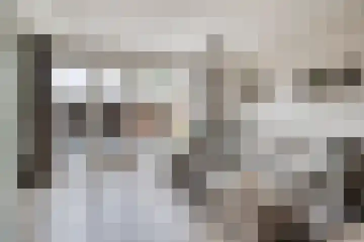 Huusakker 31 Zelhem thumbnail 5