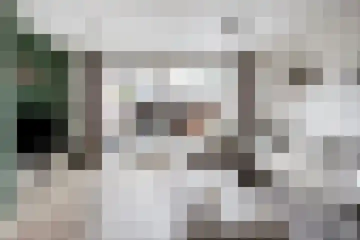 Huusakker 31 Zelhem thumbnail 6