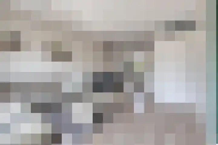 Huusakker 31 Zelhem thumbnail 8