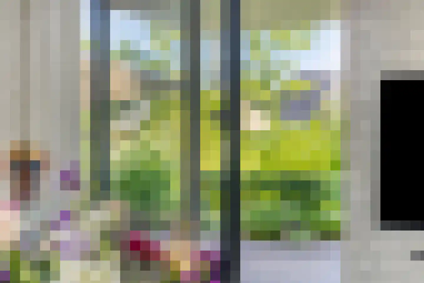 Huusker 14 Haaksbergen thumbnail 13