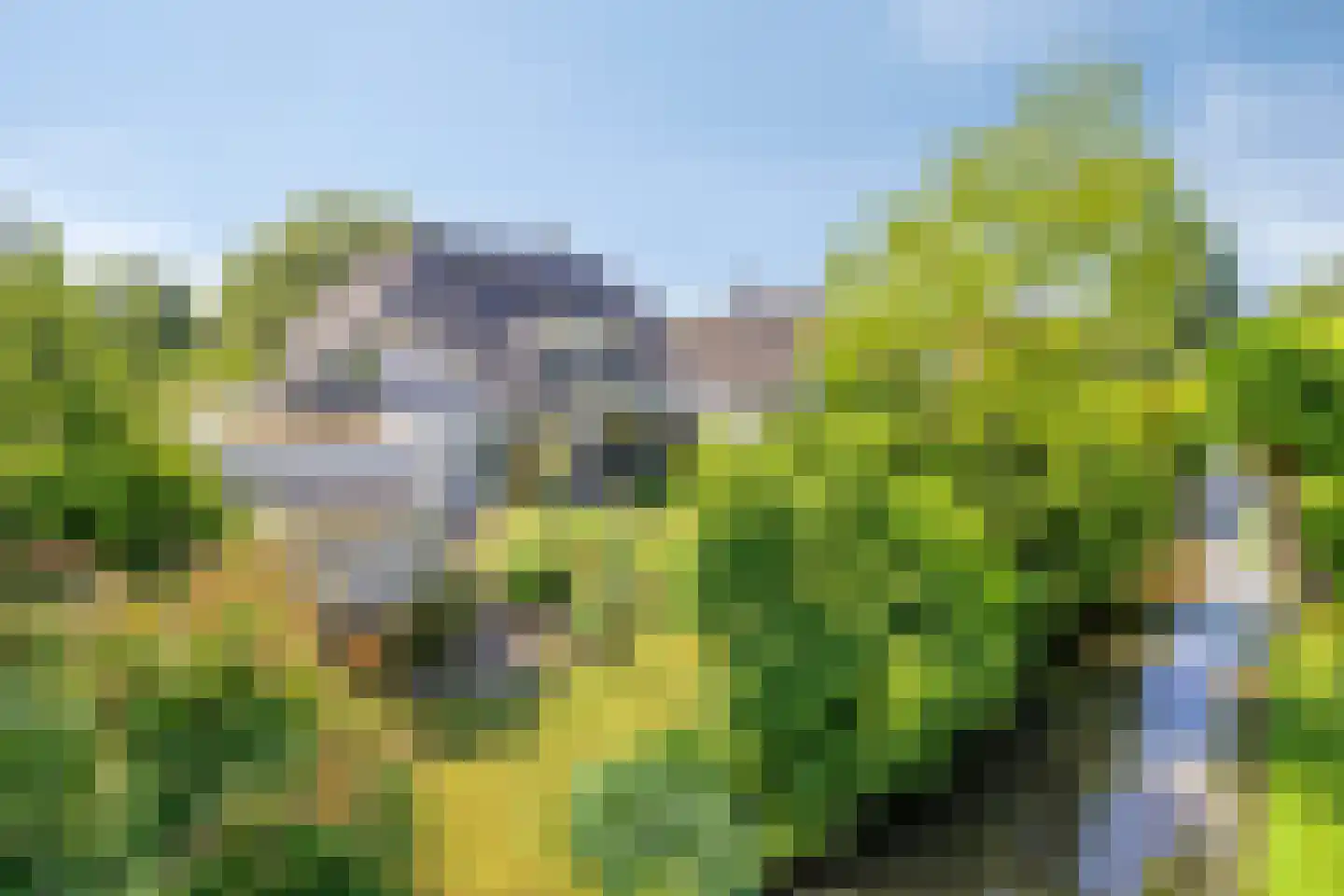 Huusker 14 Haaksbergen thumbnail 41