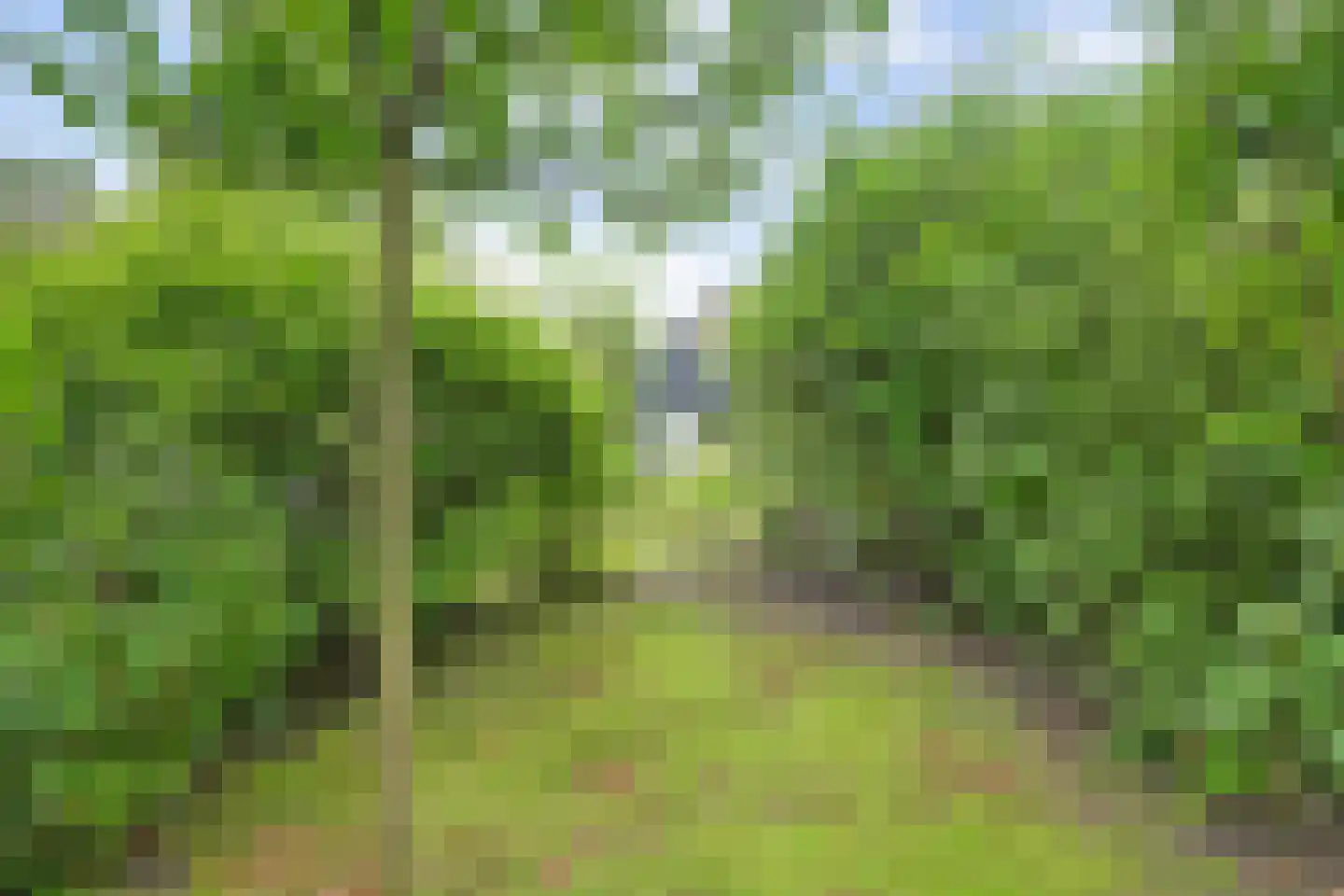Huusker 26 Haaksbergen thumbnail 34