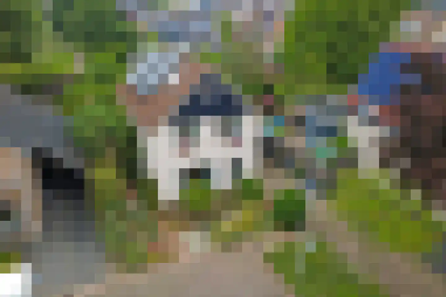 Huusker 26 Haaksbergen thumbnail 36