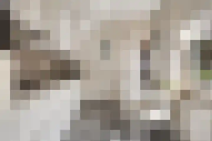 Huusker 3 Haaksbergen thumbnail 11