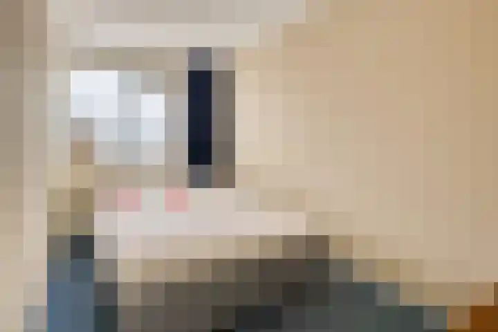 Huusker 3 Haaksbergen thumbnail 16