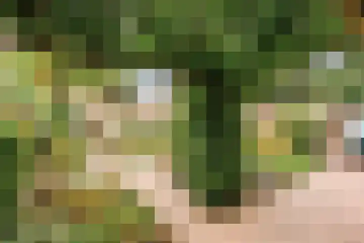 Huusker 3 Haaksbergen thumbnail 20