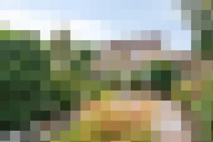 Huusker 3 Haaksbergen thumbnail 21