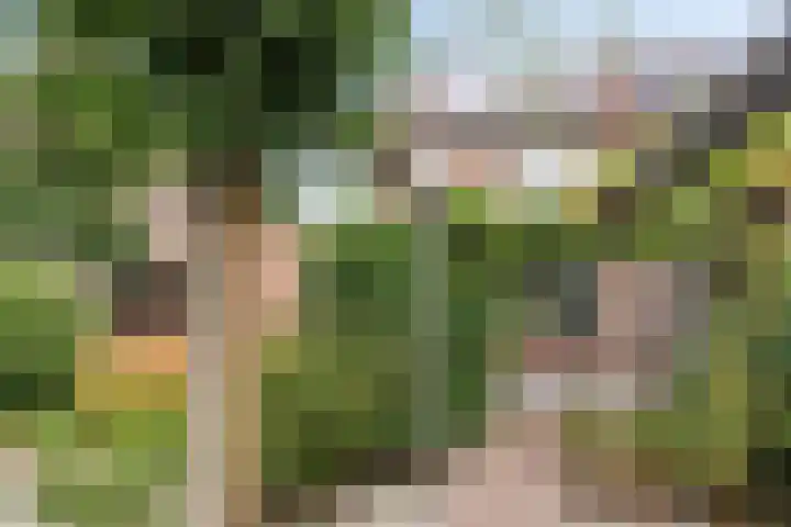 Huusker 3 Haaksbergen thumbnail 22
