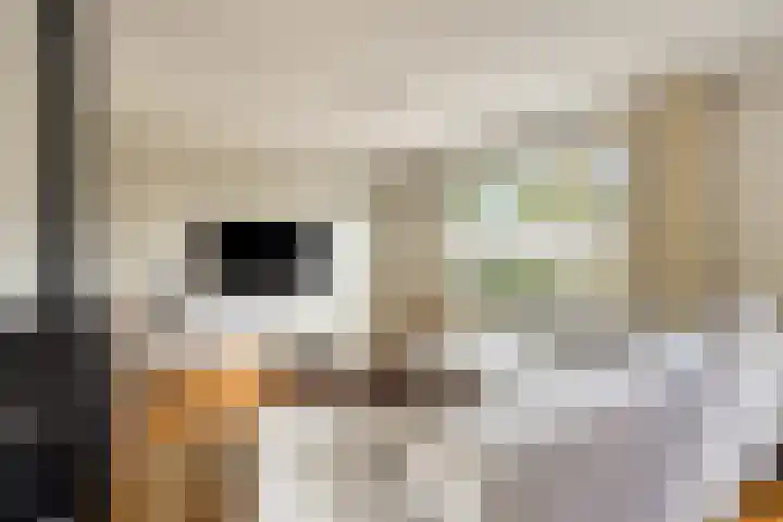 Huusker 3 Haaksbergen thumbnail 5