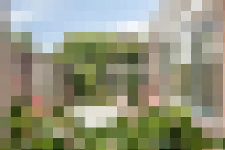 Huusker 3 Haaksbergen thumbnail 9