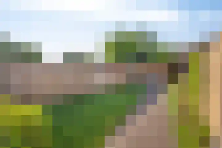 Huyakker 16 Nuenen thumbnail 38
