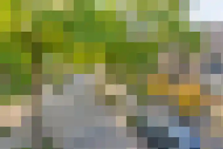 Huyakker 16 Nuenen thumbnail 44