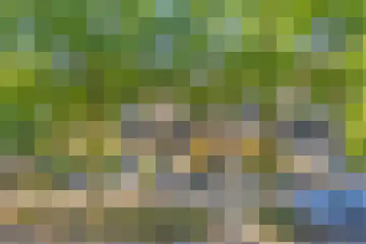 Huyakker 16 Nuenen thumbnail 45