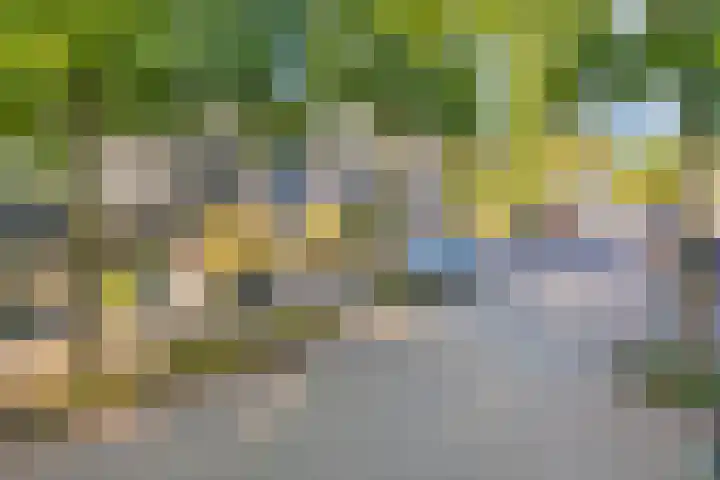 Huyakker 16 Nuenen thumbnail 46