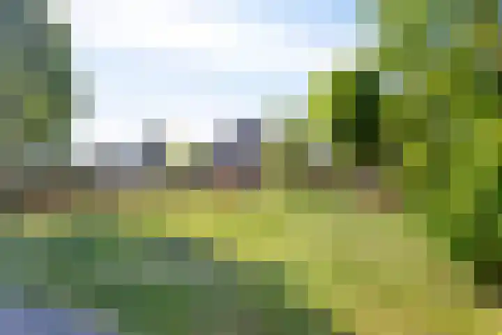 Huyakker 16 Nuenen thumbnail 47