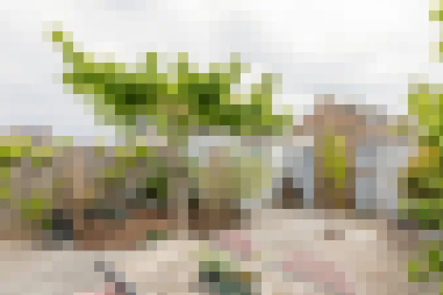 Huybregt de Hasestraat 2 Middelburg thumbnail 37
