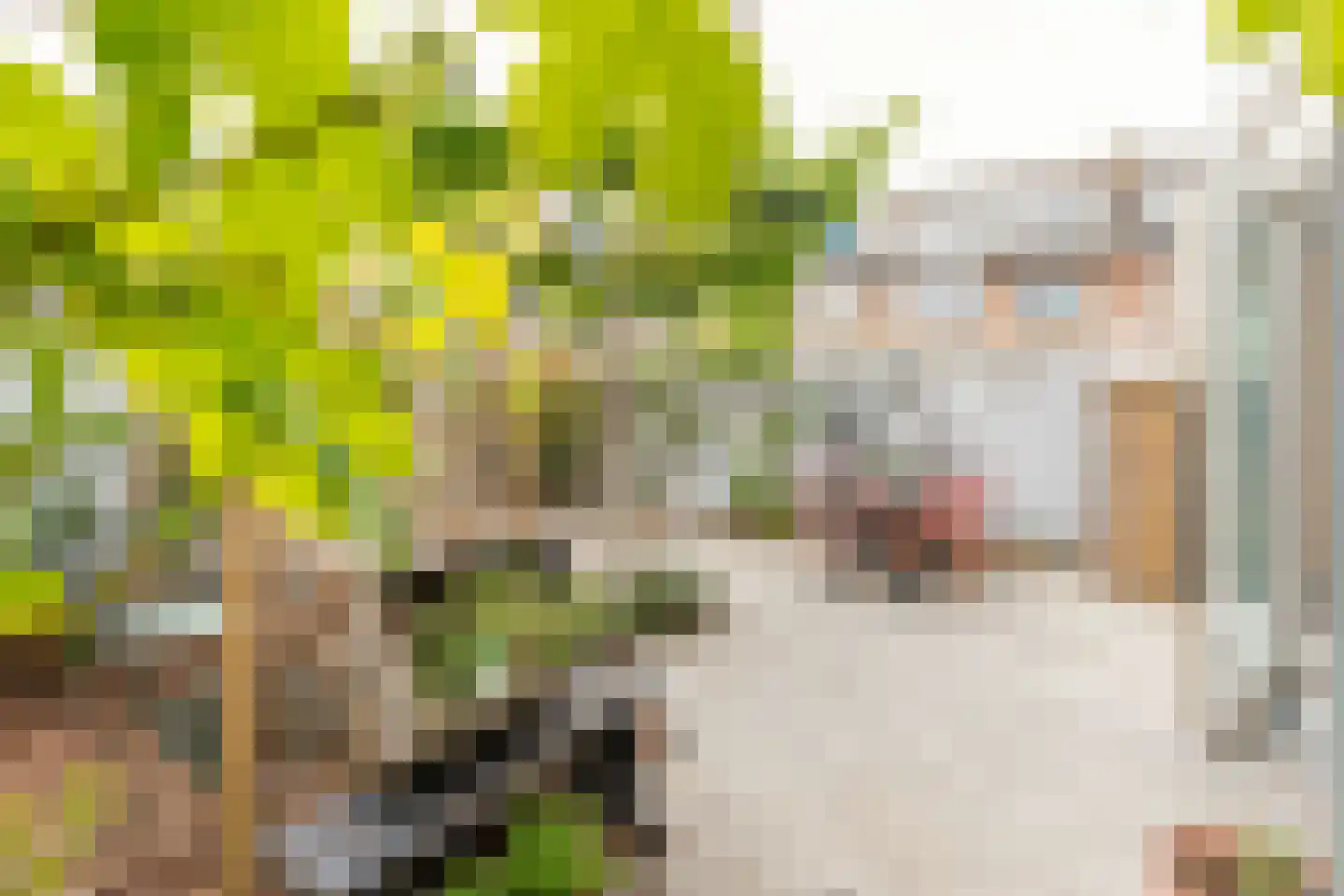 Huybregt de Hasestraat 2 Middelburg thumbnail 39