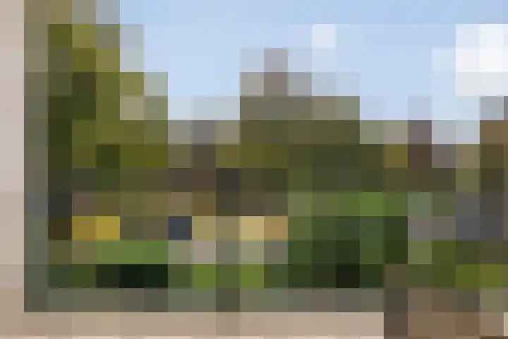 Huydecoperweg 17 C Zeist thumbnail 12