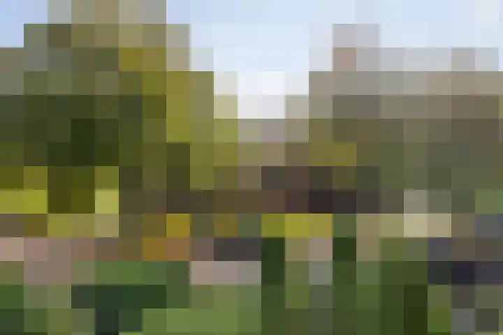 Huydecoperweg 17 C Zeist thumbnail 13