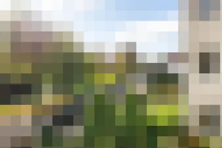 Huydecoperweg 17 C Zeist thumbnail 16