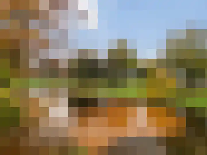 Huydecoperweg 17 C Zeist thumbnail 38