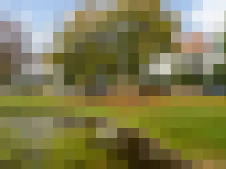 Huydecoperweg 17 C Zeist thumbnail 42