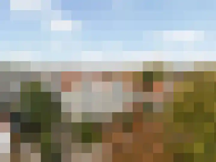 Huydecoperweg 17 C Zeist thumbnail 43