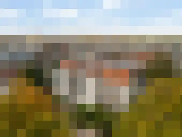Huydecoperweg 17 C Zeist thumbnail 44