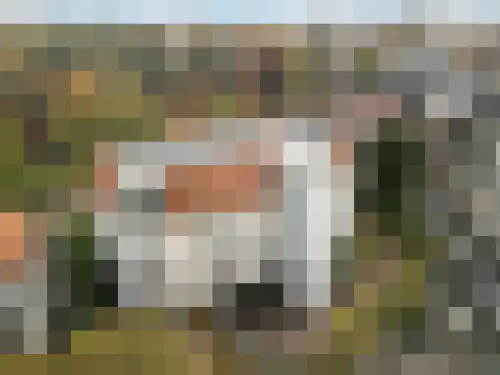 Huydecoperweg 17 C Zeist thumbnail 45