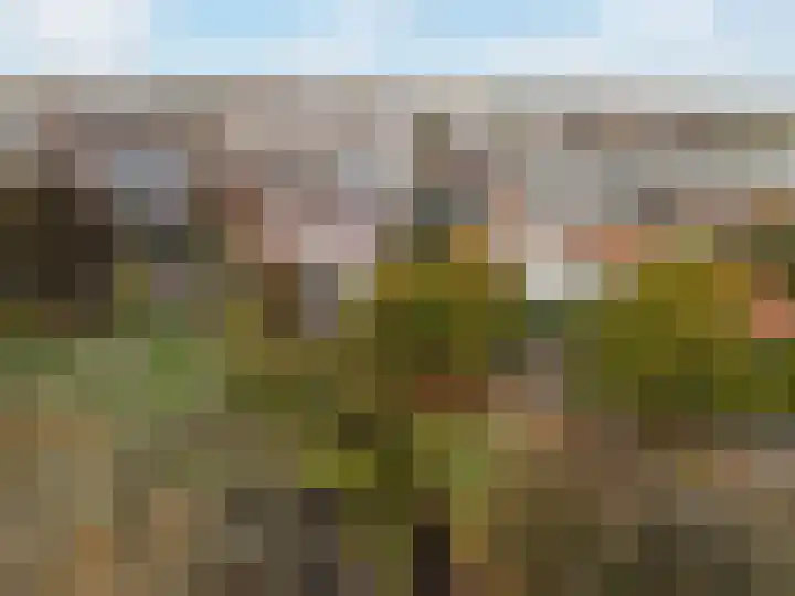 Huydecoperweg 17 C Zeist thumbnail 48