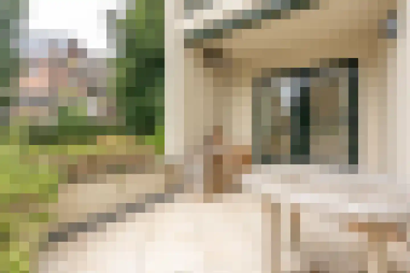 Huydecoperweg 17 Zeist thumbnail 18