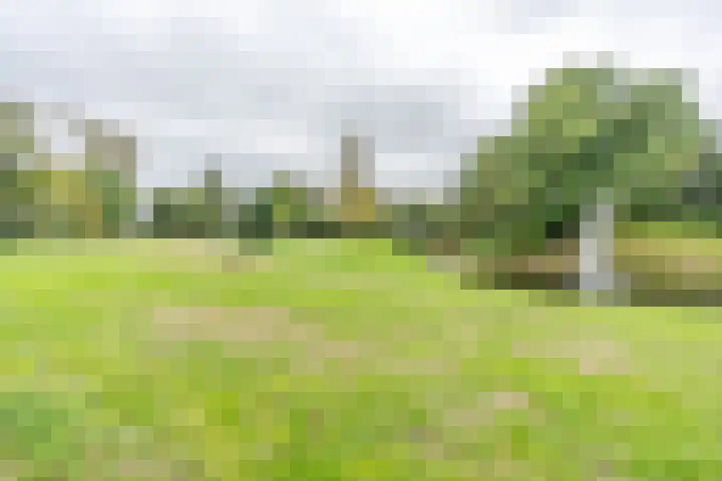 Huydecoperweg 17 Zeist thumbnail 36
