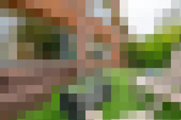 Huydecoperweg 9 C Zeist thumbnail 38