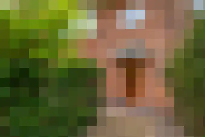 Huydecoperweg 9 C Zeist thumbnail 42