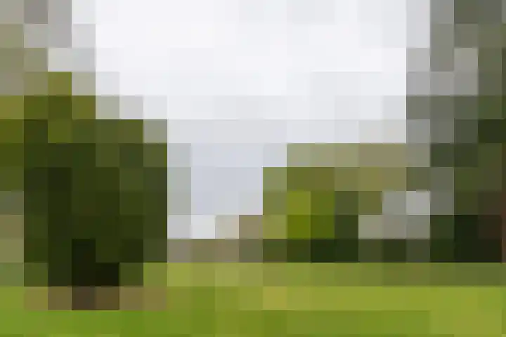 Huydecoperweg 9 C Zeist thumbnail 43