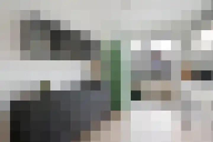 Huygenhoekring 117 Heerhugowaard thumbnail 10