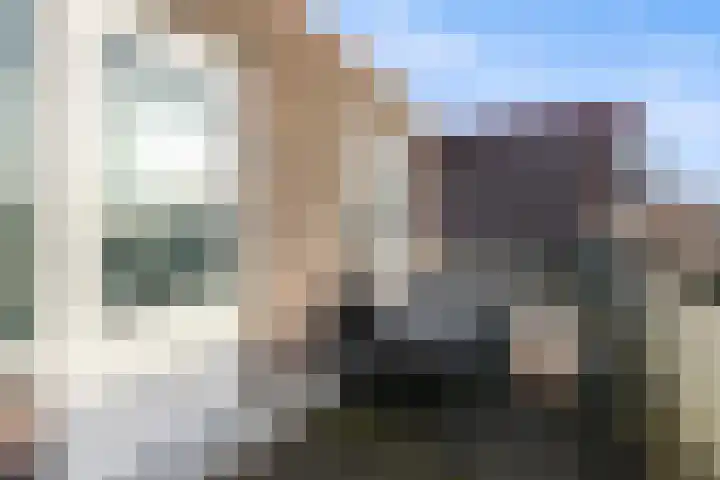 Huygenhoekring 117 Heerhugowaard thumbnail 31
