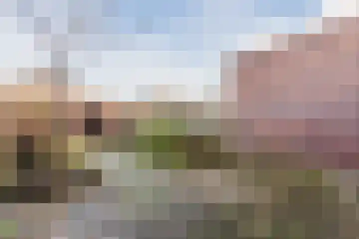 Huygenhoekring 15 Heerhugowaard thumbnail 11