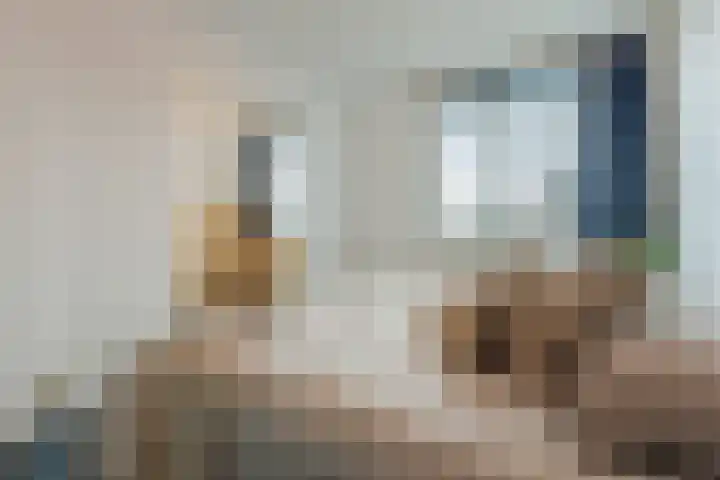 Huygenhoekring 15 Heerhugowaard thumbnail 15
