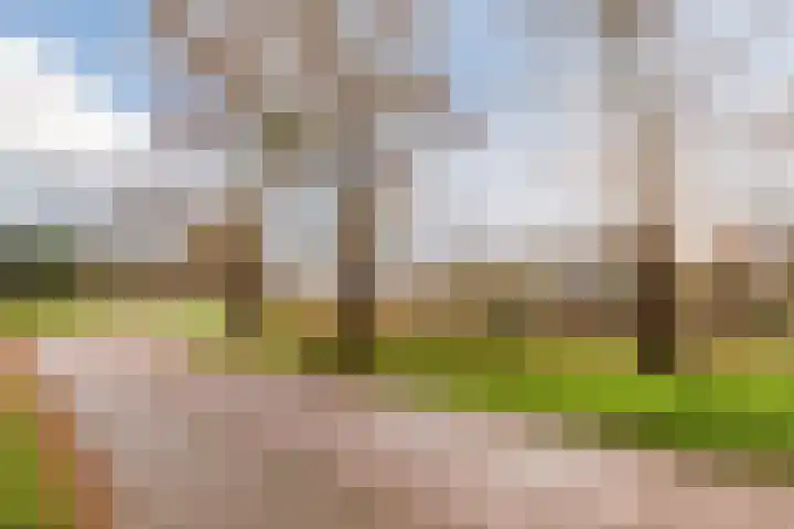 Huygenhoekring 15 Heerhugowaard thumbnail 29