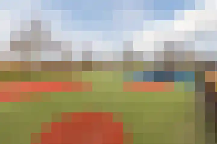 Huygenhoekring 15 Heerhugowaard thumbnail 31