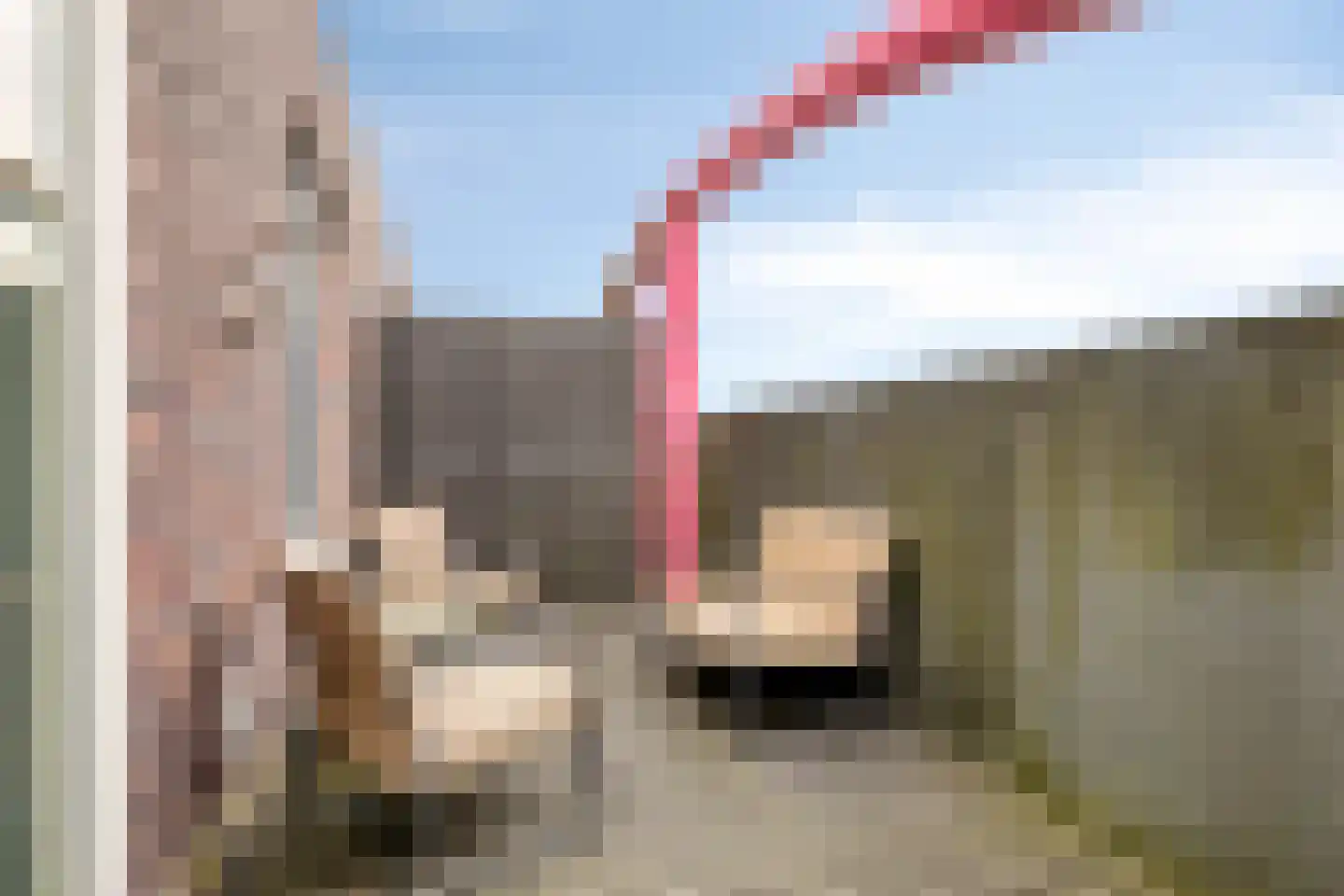 Huygenhoekring 237 Heerhugowaard thumbnail 29